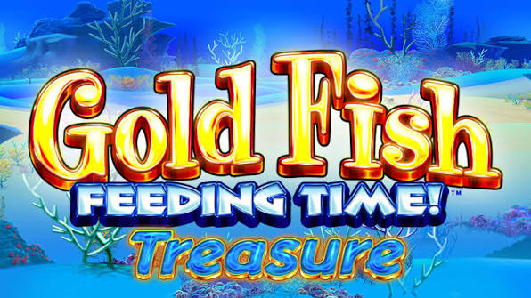 Gold Fish Feeding Time